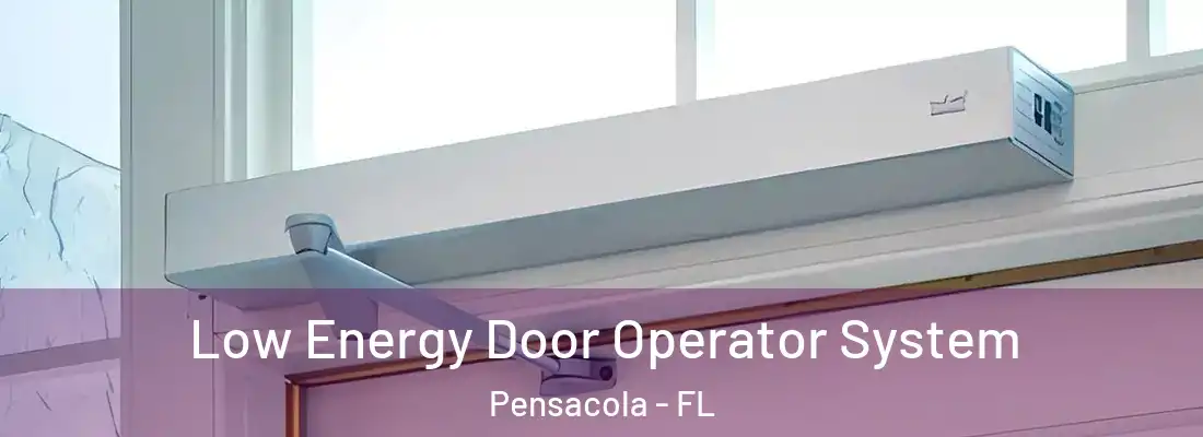  Low Energy Door Operator System Pensacola - FL